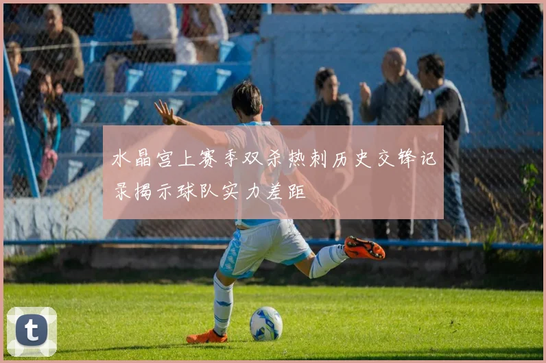 水晶宫上赛季双杀热刺历史交锋记录揭示球队实力差距