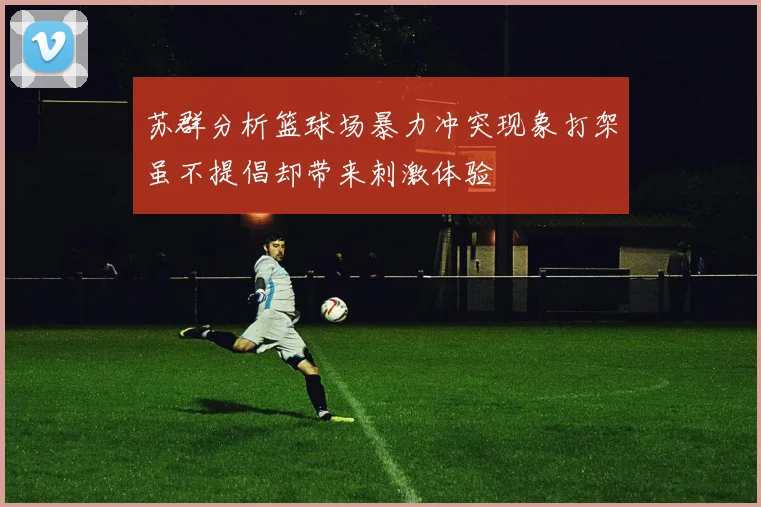 苏群分析篮球场暴力冲突现象打架虽不提倡却带来刺激体验