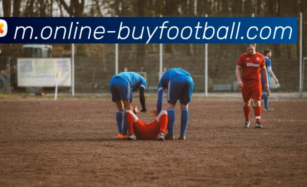 在线买球网站服务体系